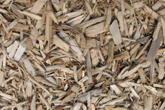 biomass boilers Sherbourne